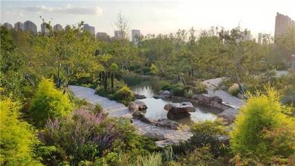 上海“見(jiàn)縫插綠”新增55座城市公園，公園總數(shù)達(dá)406座，市民暢享綠色福祉