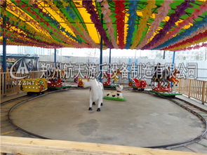 航天游樂(lè)設(shè)備廠家特供歡樂(lè)跑馬 公園觀光服務(wù)的全新體驗(yàn)
